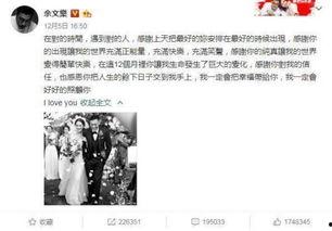 娱乐新闻大事件吃瓜,揭秘最新大事件背后的真相与八卦